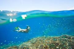 young woman at snorkeling in the tropical turquoise water