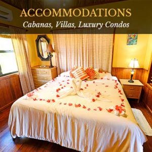 Accommodations - Captain Morgan's Retreat. Belize
