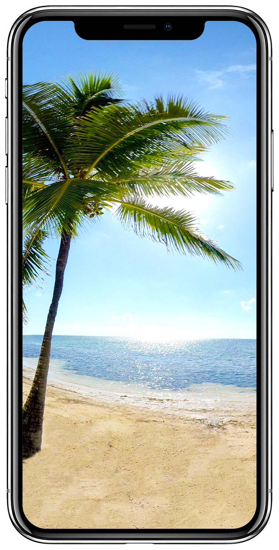 phone background - Captain Morgan's Retreat. Belize