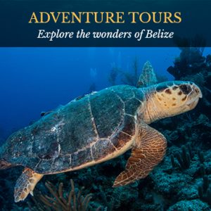Adventure - Captain Morgan's Retreat. Belize