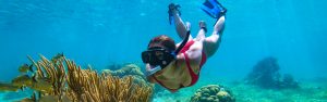 diving - Captain Morgan's Retreat. Belize