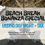 BEACH BREAK BONANZA SPECIAL