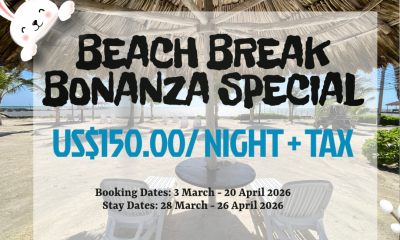 easter-festival-template-made-with-postermywall-1 easter-festival-template-made-with-postermywall-1